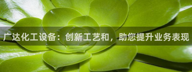 新城平台公司