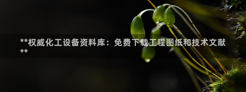 新城平台注册流程及费用
