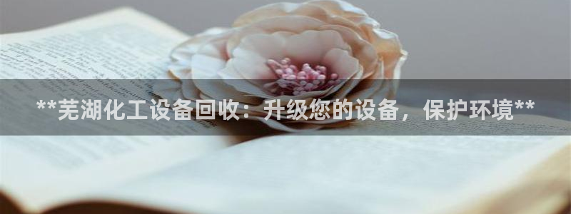 新城平台公司