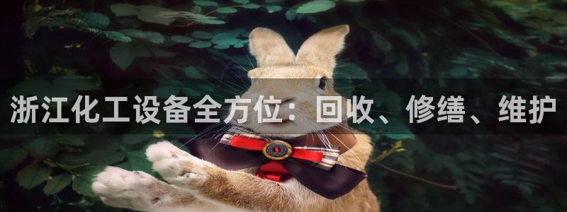 新城平台平台最新活动信息