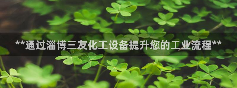 新城平台代理注册公司