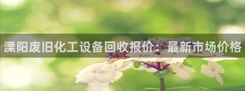 新城平台登录密码忘了