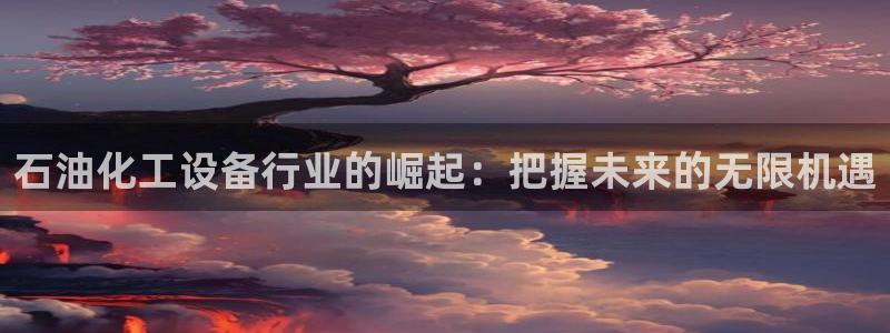 新城平台登录入口官网首页查询