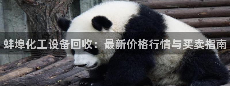 新城平台登录入口官网网址