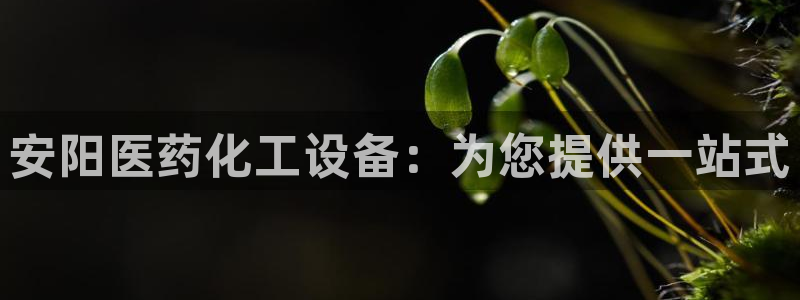 新城平台绝7O777