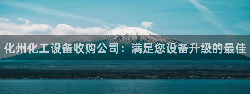 新城平台登录入口官网网址是什么