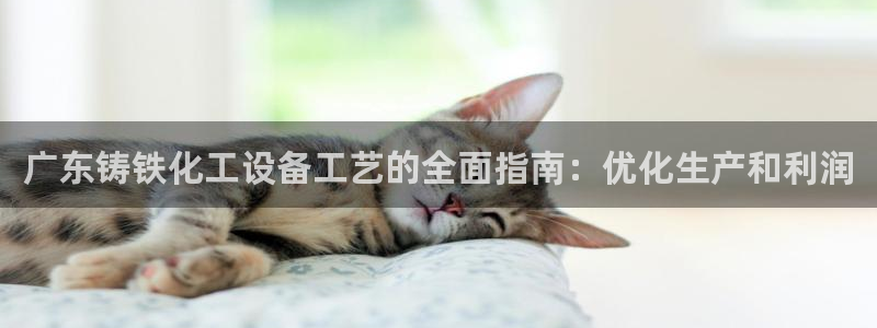 新城平台线路登录不上去怎么回事呀