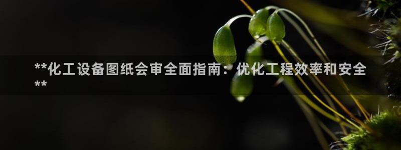 新城平台主管
