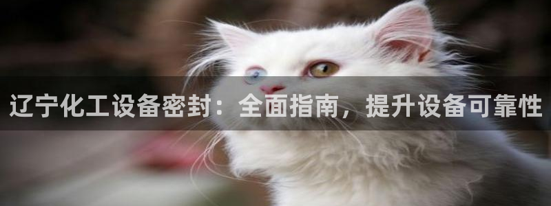 新城平台登录入口官网网址是什么