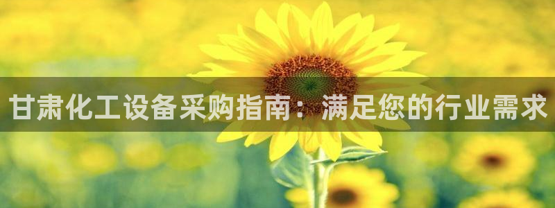 新城平台注册登录地址怎么填