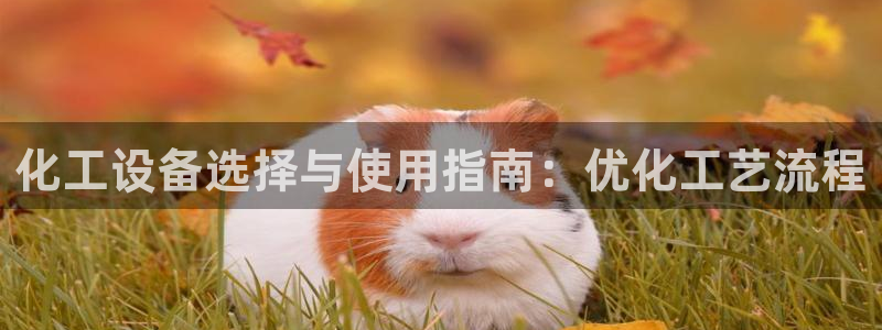 新城平台登录入口官网查询