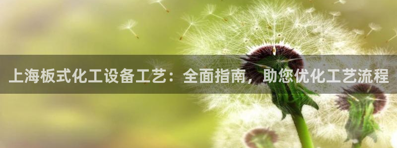 新城平台登录入口官网下载安装