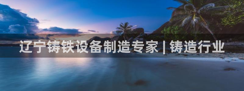新城平台注册登录地址怎么填