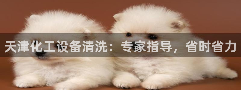新城平台登录入口官网查询系统