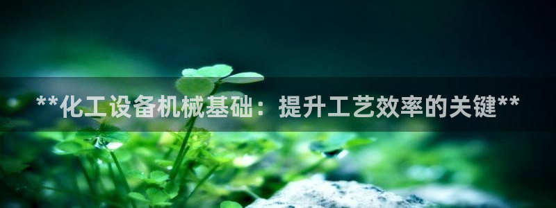 新城平台企业信息查询