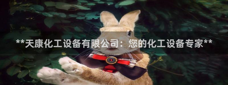 新城平台企业信息查询