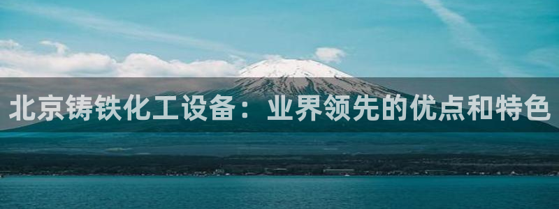 新城平台进·新城平台：北京铸铁化工设备：业界领先的