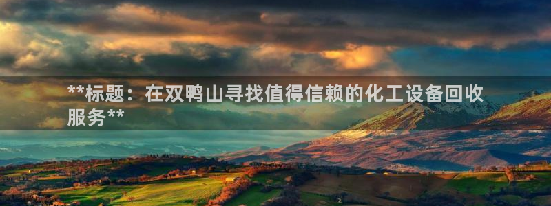 新城平台注册公司流程