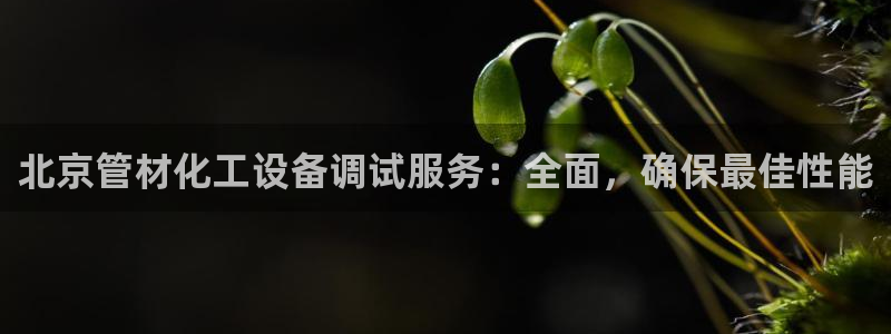 新城平台注册资金多少合适：北京管材化工设备调试服务