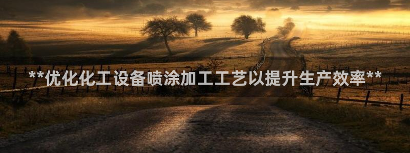 新城平台总代理是谁