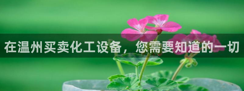 新城平台代理电话