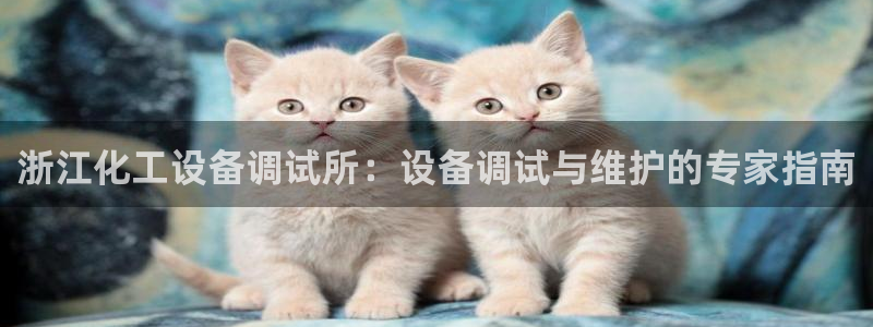 新城平台价7O777：浙江化工设备调试所：设备调试