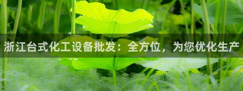 新城平台注册公司流程图