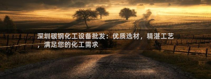 新城平台线路登录不上去怎么回事儿：深圳碳钢化工设备