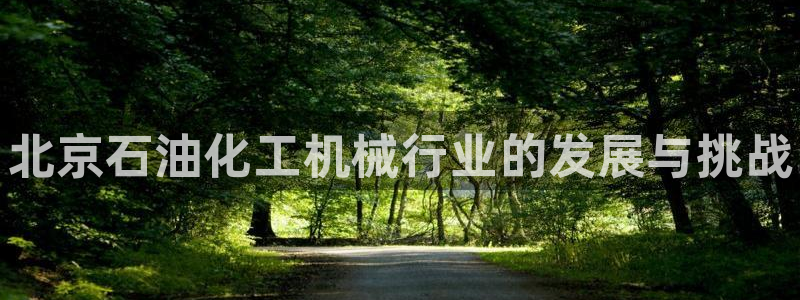 新城平台是干嘛的：北京石油化工机械行业的发展与挑战