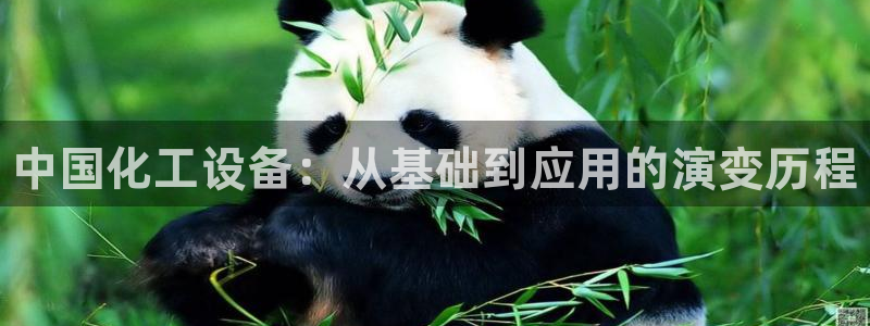 新城平台登录入口官网首页