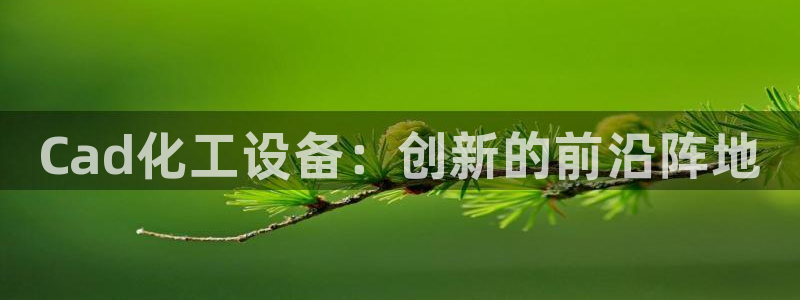 新城平台线路登录不上去怎么办呀：Cad化工设备：创