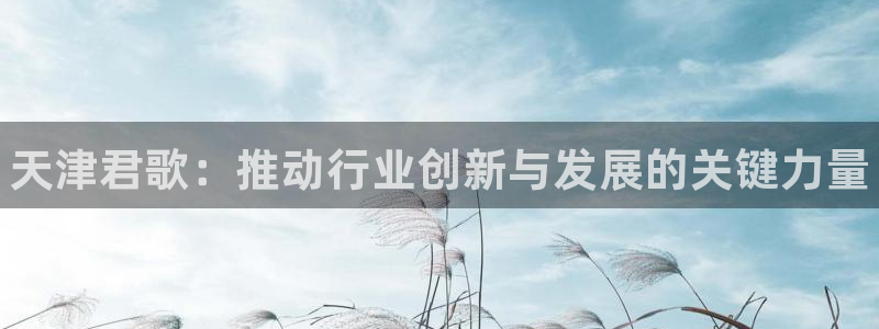 新城平台注册公司流程