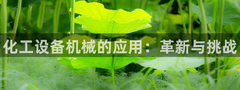 新城平台进.新城平台.稳定风险提示：化工设备机械的