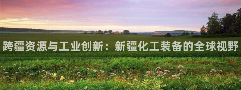 新城平台登录入口官网网址是什么