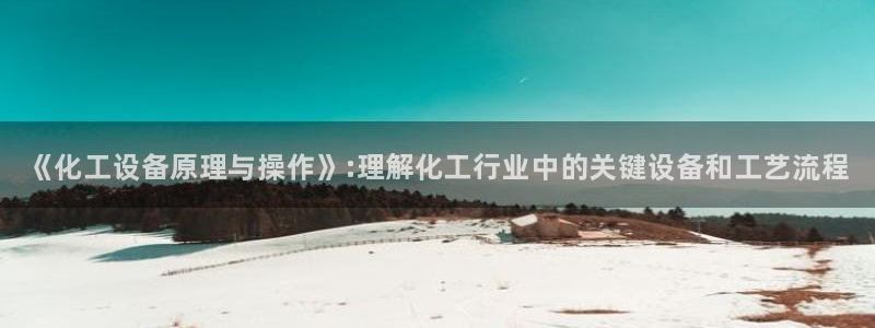 新城平台注册登录地址怎么填：《化工设备原理与操作》:理解化工